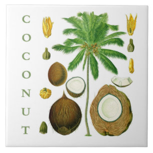 Vintage Kitchen Art: Coconut Tree & Flower Tile