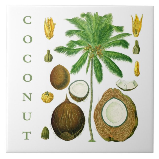 Vintage Kitchen Art: Coconut Tree & Flower Tile (Front)