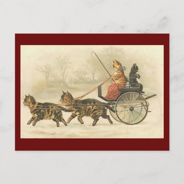 Vintage kitten coach postcard (Front)