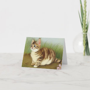 Vintage Kitten Illustration with Flowers Invitation