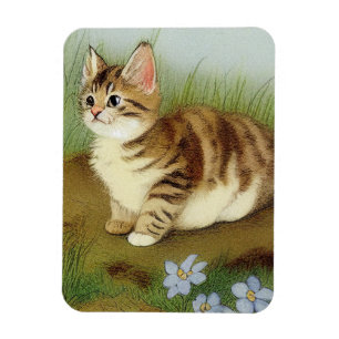 Vintage Kitten Illustration with Flowers Magnet