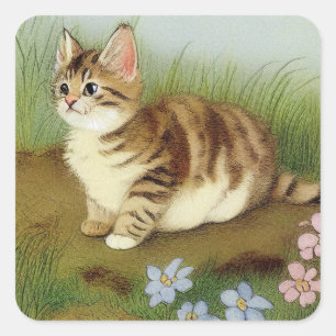 Vintage Kitten Illustration with Flowers Square Sticker