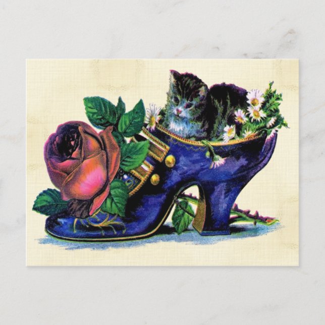 Vintage Kitten In Lady's Shoe Postcard (Front)