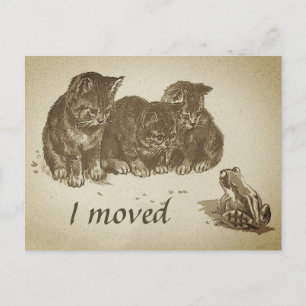 Vintage Kittens and Frog I Moved Change of Address Postcard