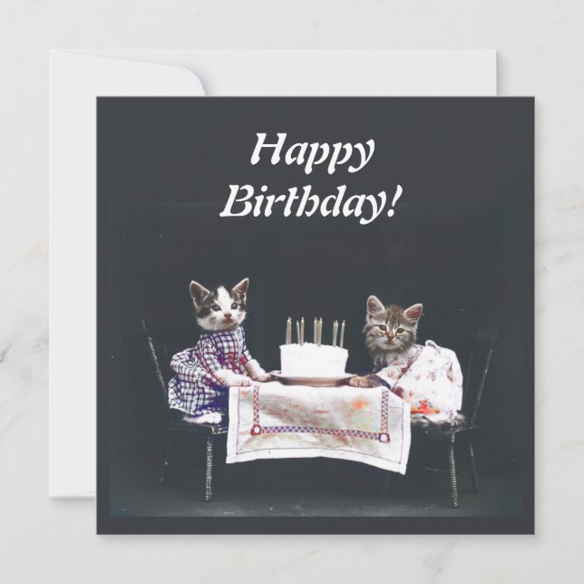 Vintage Kittens Happy Birthday Card (Front)