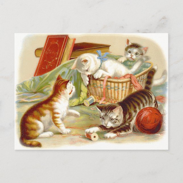 Vintage Kittens Having Fun Postcard (Front)