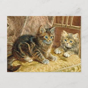Vintage Kitty Cats - Victorian Cat Art Postcard