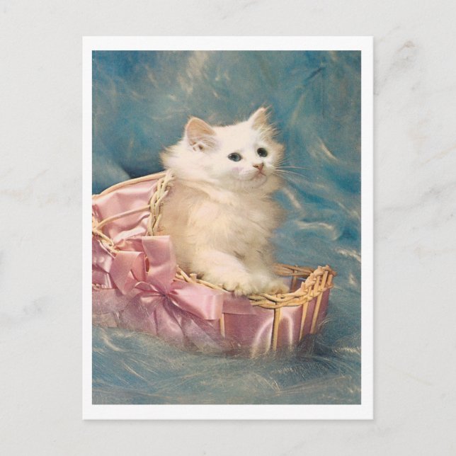 Vintage Kitty Postcard (Front)