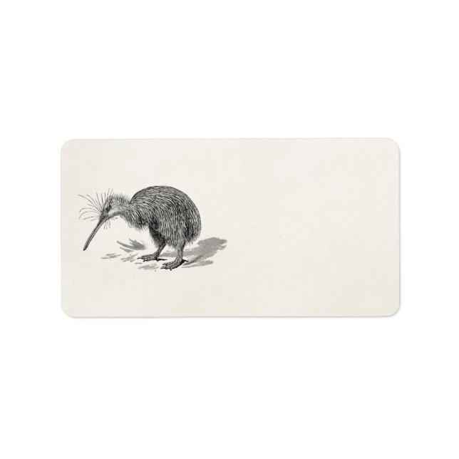 Vintage Kiwi Bird Antique Birds Template Label (Front)
