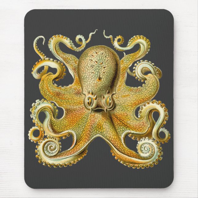 Vintage Kraken, Octopus Gamochonia, Ernst Haeckel Mouse Mat (Front)