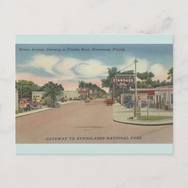 Vintage Krome Avenue Homestead Florida Postcard (Front)