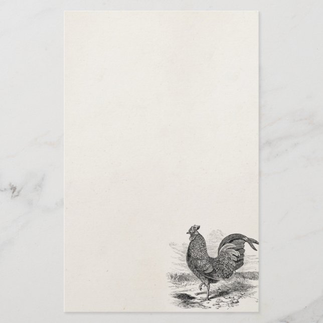Vintage Kulm Fowl Rooster Chicken - Chickens Hen Stationery (Front)