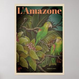 Vintage L 'Amazone Travel Poster