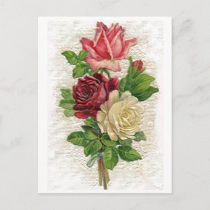 Vintage Lace and Roses Postcard