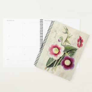 Vintage Lady Willoughby, Apollo & Cygna Gloxinia Planner