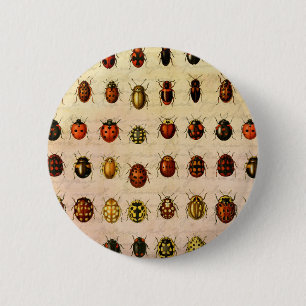 Vintage Ladybug Specimen Pattern Antique Insect 6 Cm Round Badge