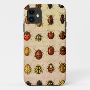 Vintage Ladybug Specimen Pattern Antique Insect iPhone 11 Case
