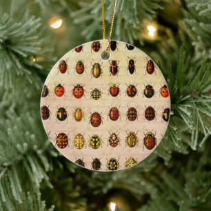 Vintage Ladybug Specimen Pattern Antique Insect Ceramic Tree Decoration