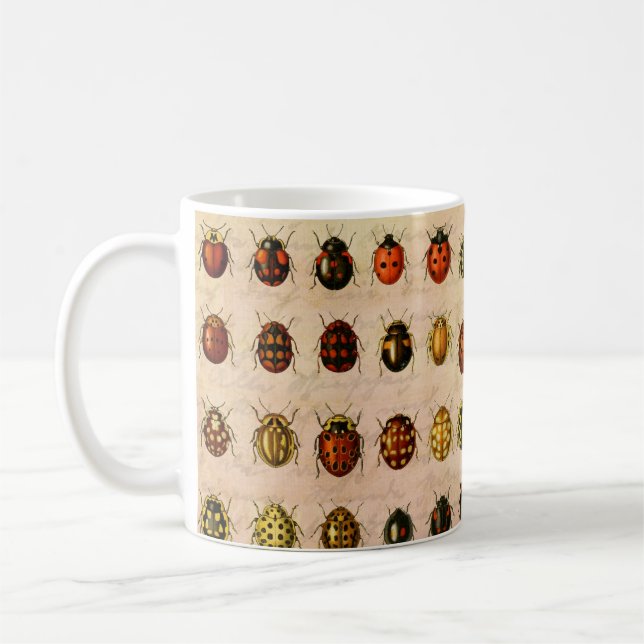 Vintage Ladybug Specimen Pattern Antique Insect Coffee Mug (Left)