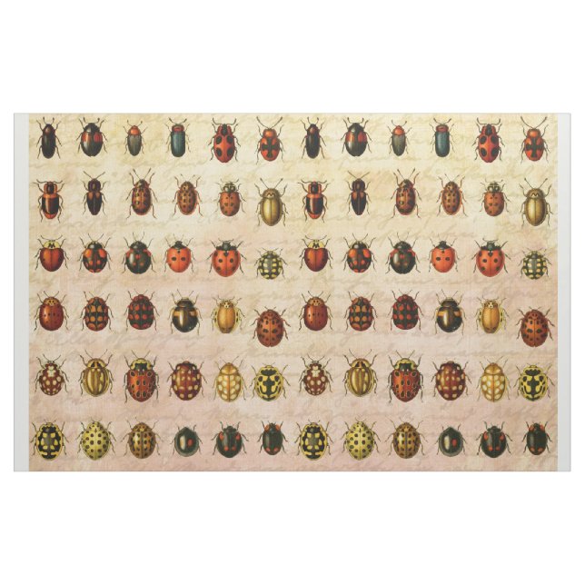 Vintage Ladybug Specimen Pattern Antique Insect Fabric (Yard)