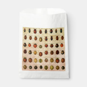Vintage Ladybug Specimen Pattern Antique Insect Favour Bags