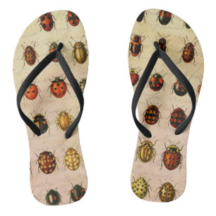 Vintage Ladybug Specimen Pattern Antique Insect Flip Flops