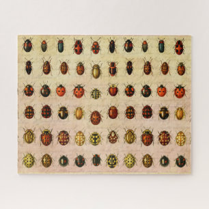 Vintage Ladybug Specimen Pattern Antique Insect Jigsaw Puzzle