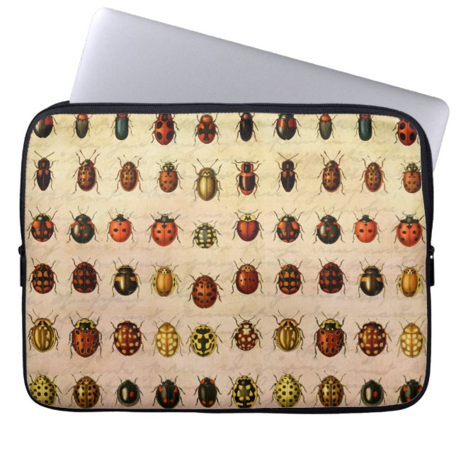 Vintage Ladybug Specimen Pattern Antique Insect Laptop Sleeve (Front)