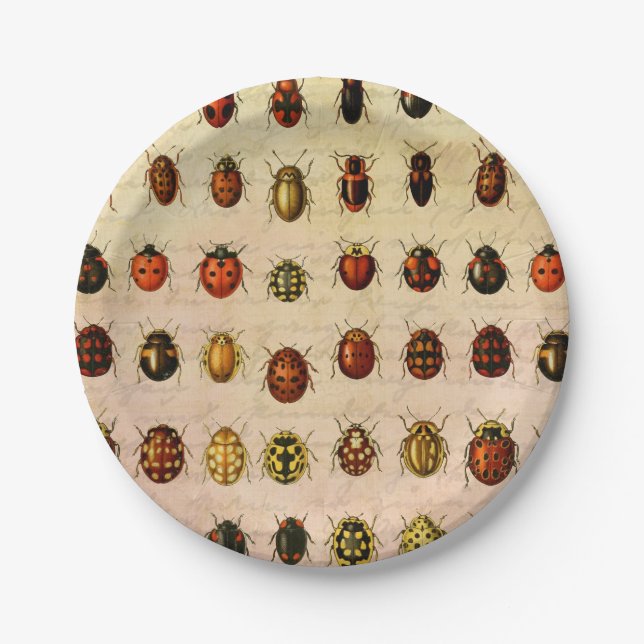 Vintage Ladybug Specimen Pattern Antique Insect Paper Plate (Front)