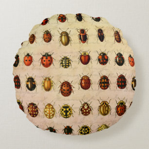 Vintage Ladybug Specimen Pattern Antique Insect Round Cushion