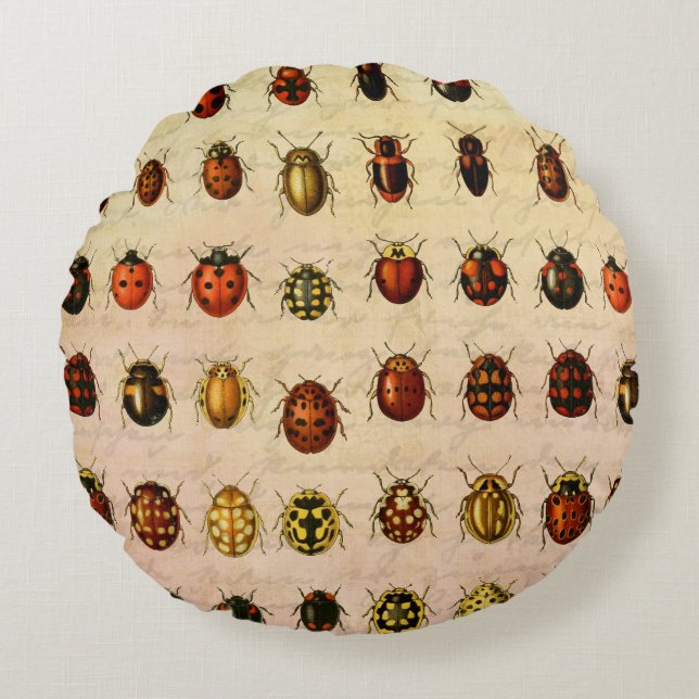 Vintage Ladybug Specimen Pattern Antique Insect Round Cushion (Front)