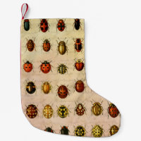 Vintage Ladybug Specimen Pattern Antique Insect
