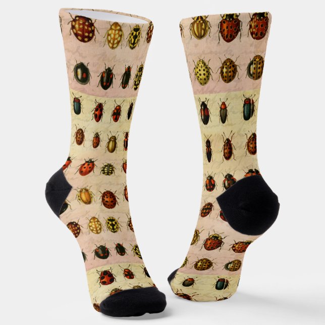 Vintage Ladybug Specimen Pattern Antique Insect Socks (Angled)