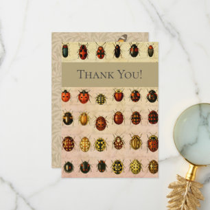Vintage Ladybug Specimen Pattern Antique Insect Thank You Card