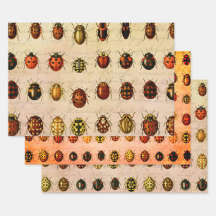 Vintage Ladybug Specimen Pattern Antique Insect Wrapping Paper Sheet