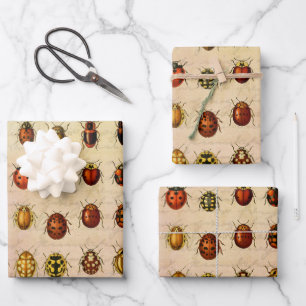 Vintage Ladybug Specimen Pattern Antique Insect Wrapping Paper Sheet