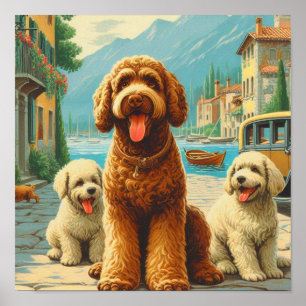 Vintage Lagotto Romagnolo Illustration Poster