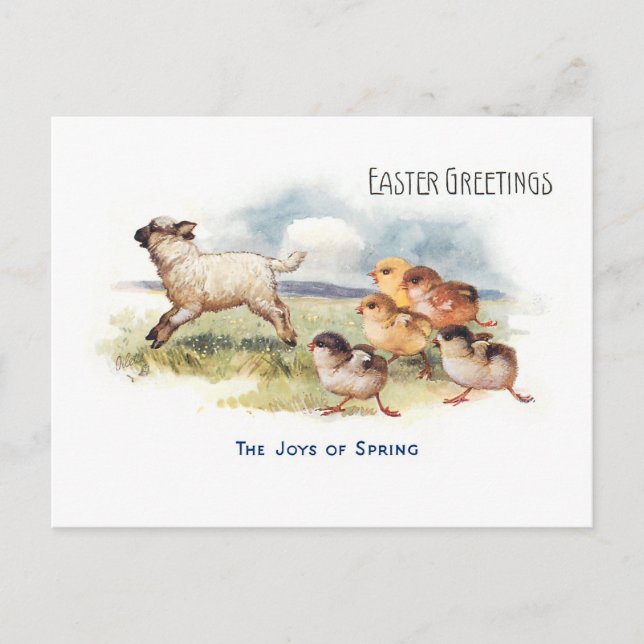Vintage Lamb and Chicks Easter Greeting Postcard (Front)