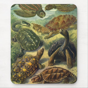 Vintage Land Tortoise Sea Turtles by Ernst Haeckel Mouse Mat