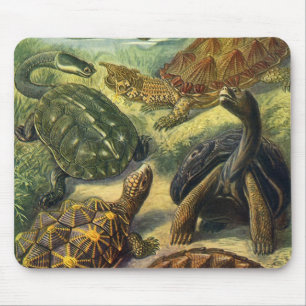 Vintage Land Tortoise Sea Turtles by Ernst Haeckel Mouse Mat