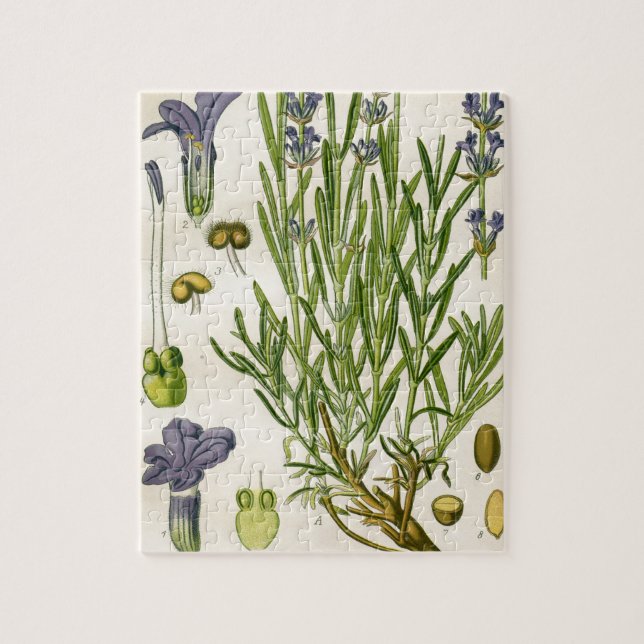 Vintage Lavender Botanical Print Jigsaw Puzzle (Vertical)