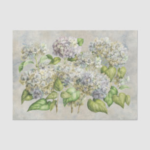 Vintage Lavender Hydrangea Floral  on Grey  Tissue Paper
