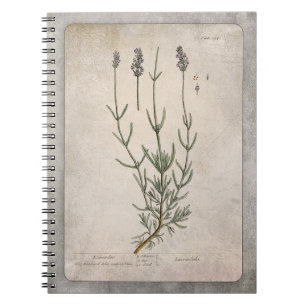Vintage Lavender Illustration with Texture Notebook