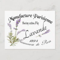 Vintage Lavender