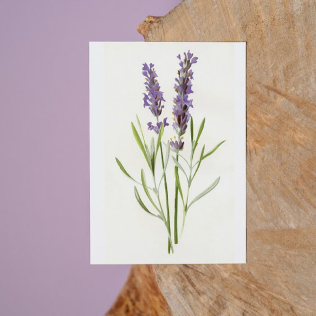 Vintage Lavenders Holiday Card (Creator Uploaded)