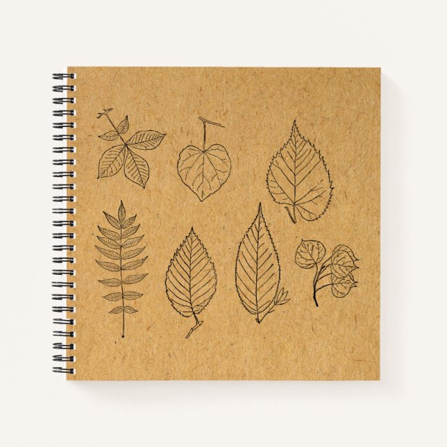 Vintage Leaf Art Illustrated Leaves Notebook (Front)