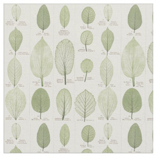 Vintage Leaf Illustrations Fabric