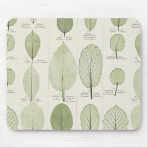 Vintage Leaf Illustrations Mouse Mat