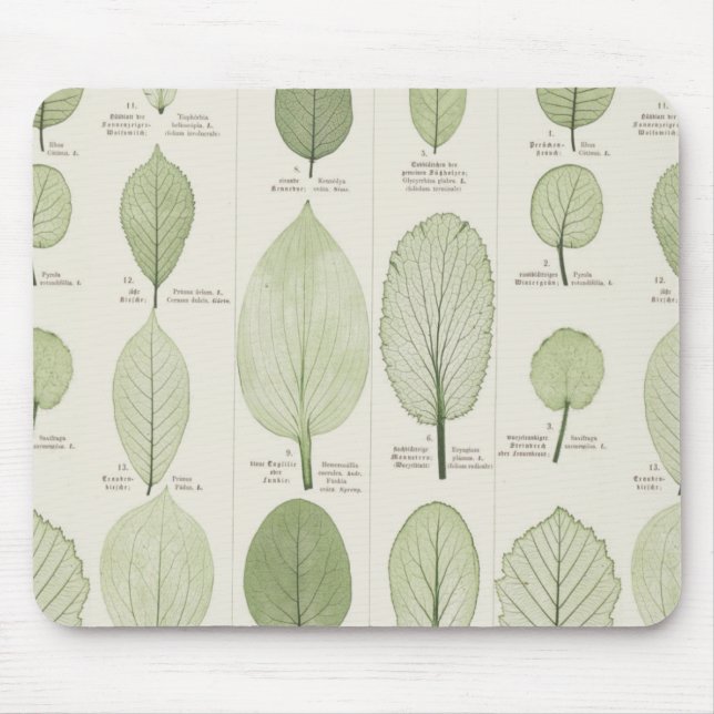 Vintage Leaf Illustrations Mouse Mat (Front)