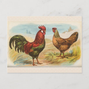 Vintage "Leghorn Chickens" Postcard
